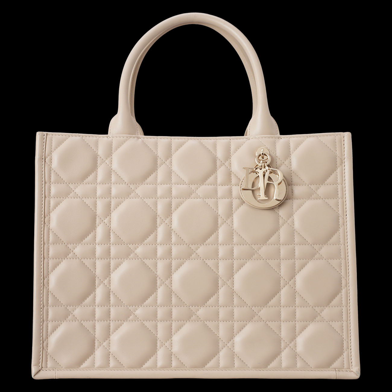 CHRISTIAN DIOR(USED)디올 레더 북토트 미듐